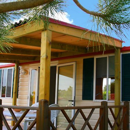 Camp Dole Zivogosce Hotel Podgora Exterior photo